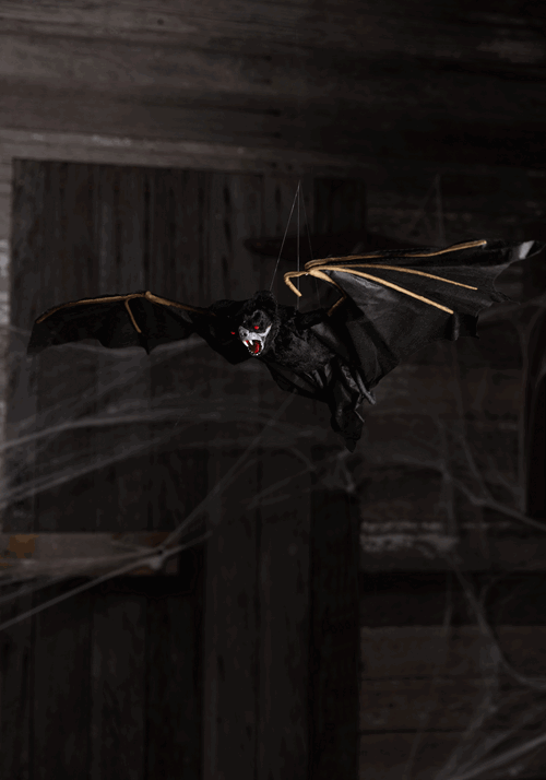 35 Animated Bat new