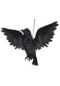 20 Animated Flying Crow