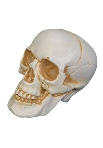 7 Realistic Talking Skull