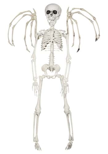 16 Winged Skeleton
