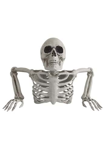 Skeleton Torso Groundbreaker
