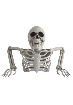 Skeleton Torso Groundbreaker