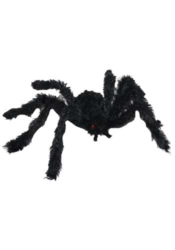 Small Hairy Black Spider