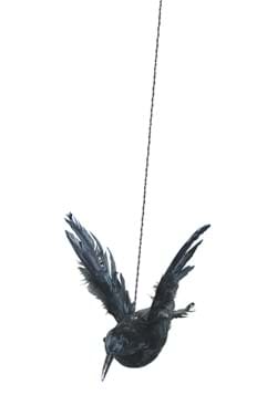 Flying Crow with Wings Up