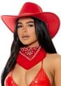 Old Town Red Cowboy Hat