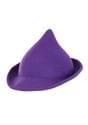 Modern Witch Hat Purple Alt 2