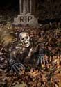 Skeleton Grave Breaker UPD new