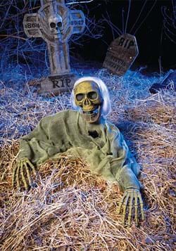 Moss Grave Breaker Decoration UPD