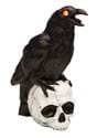 Light Up Raven on a Skull