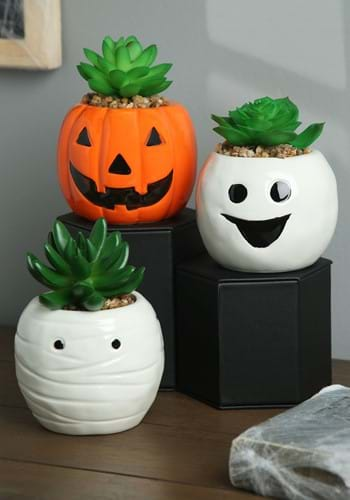 Double-Duty Mini Succulent Planter - from Halloween to