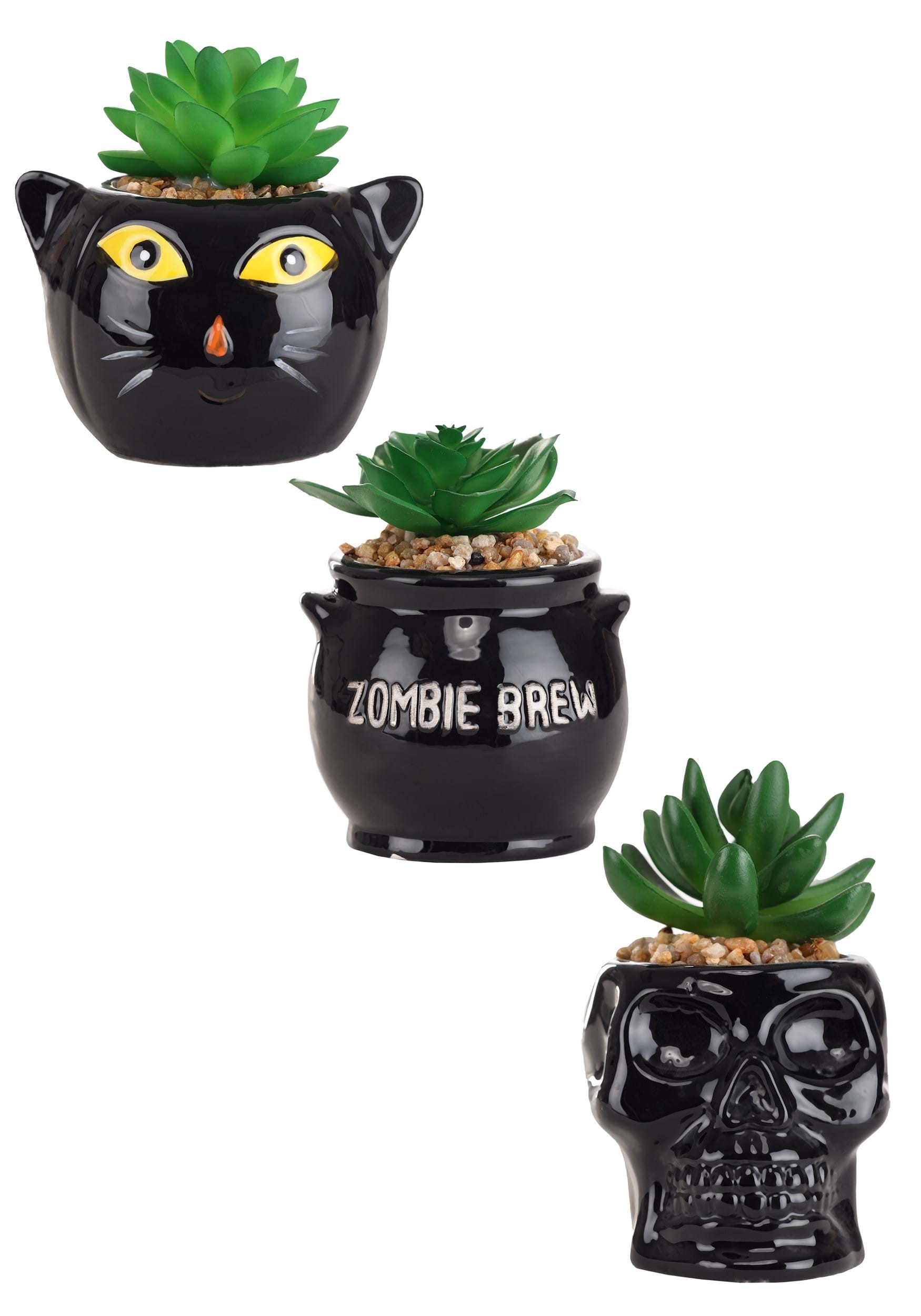 Cauldron, gato y esqueleto set de plantador suculento decorativo de Halloween Multicolor Colombia