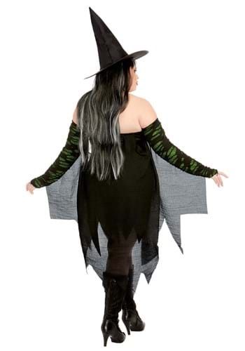 Plus Size Miss Enchantment Adult Women's Costume