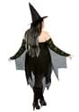 Womens Plus Miss Enchantment Adult Costume Alt 1