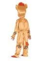 Lion Guard Toddler Classic Kion Costume Alt 1