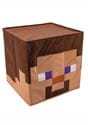 Minecraft Steve Block Head for Adults main1
