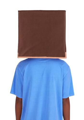 Adult Steve Block Head - Minecraft Costume Accessories