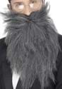 Long Grey Beard and Mustache