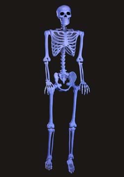 NEW Details about   Devil Skull Wall Sconce Halloween Prop Human Skulls/Skeleton 