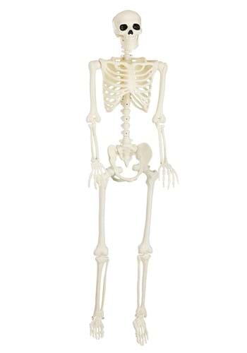 5FT Black Light Ghostly Skeleton Halloween Prop | Skeleton Decorations