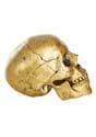 Gold Skull with Movable Jaw alt2