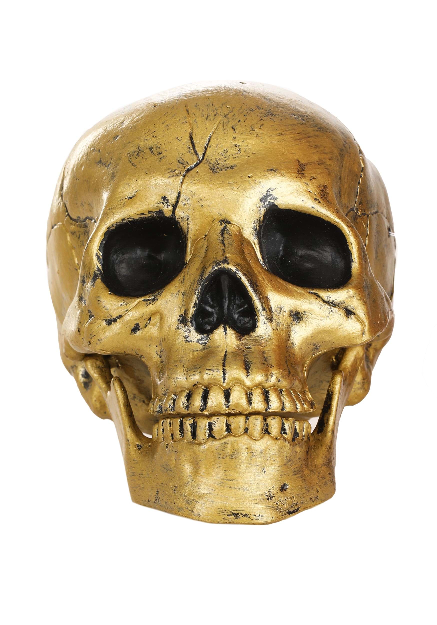 Photos - Other interior and decor Seasons (HK) Ltd. Gold Skull with Movable Jaw Halloween Decoration Brown