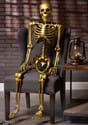 Life Size Gold 60 Inch Posable Skeleton Prop