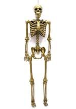 Life Size Gold 60 Inch Posable Skeleton Prop Alt 3