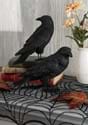 9 Inch Set of Fright Night Crows_