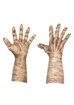 Evil Witch Flesh Hands