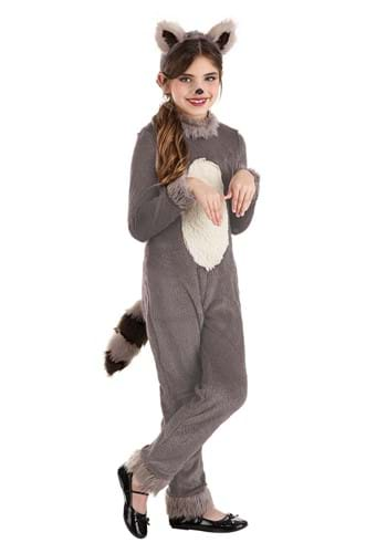 Raccoon Costumes Adult Sexy Raccoon Costume Ideas 0159