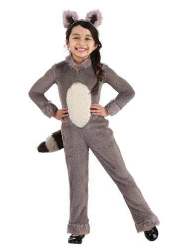 Raccoon Costumes Adult Sexy Raccoon Costume Ideas 