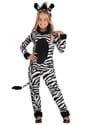 Girl's Zebra Costume
