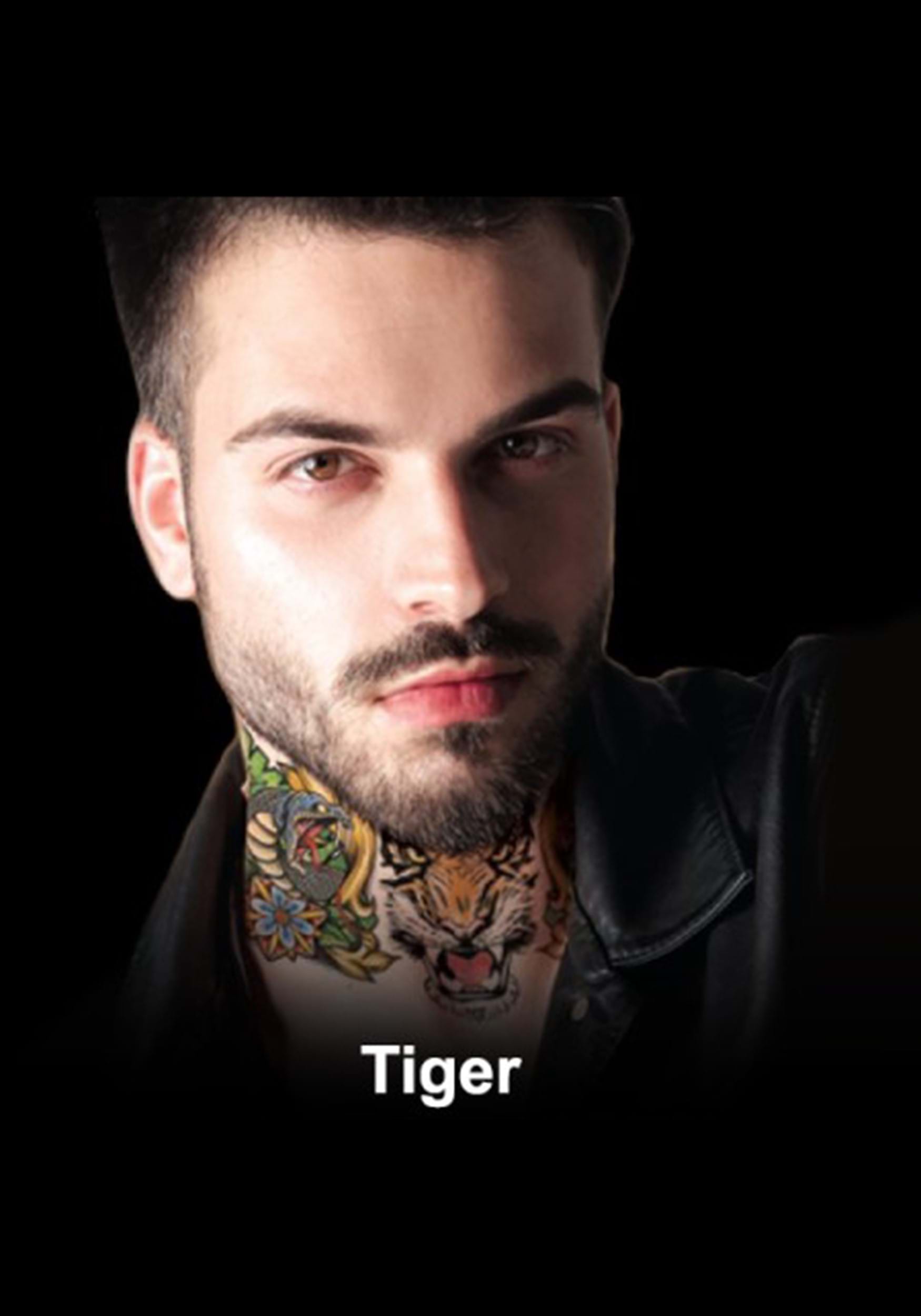 Tatuaje de tigre del cuello Multicolor Colombia