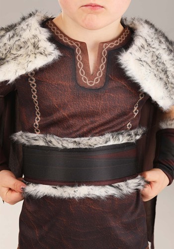 Deluxe Victorious Viking Toddler Boy's Costume
