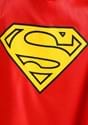 DC Comics Superman Deluxe Toddler Costume Alt 3