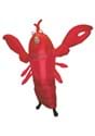 Adult Giant Lobster Inflatable Costume Alt 2