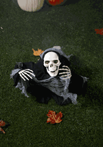 Animated Half-Body Skeleton (M38443) Alt 1