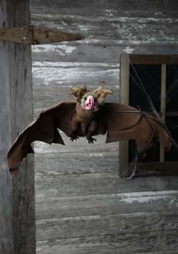 Brown Bat (MC0091)1