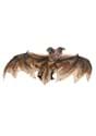Brown Bat (MC0091) Alt 2