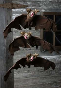 Brown Bat 3 Pack1-2