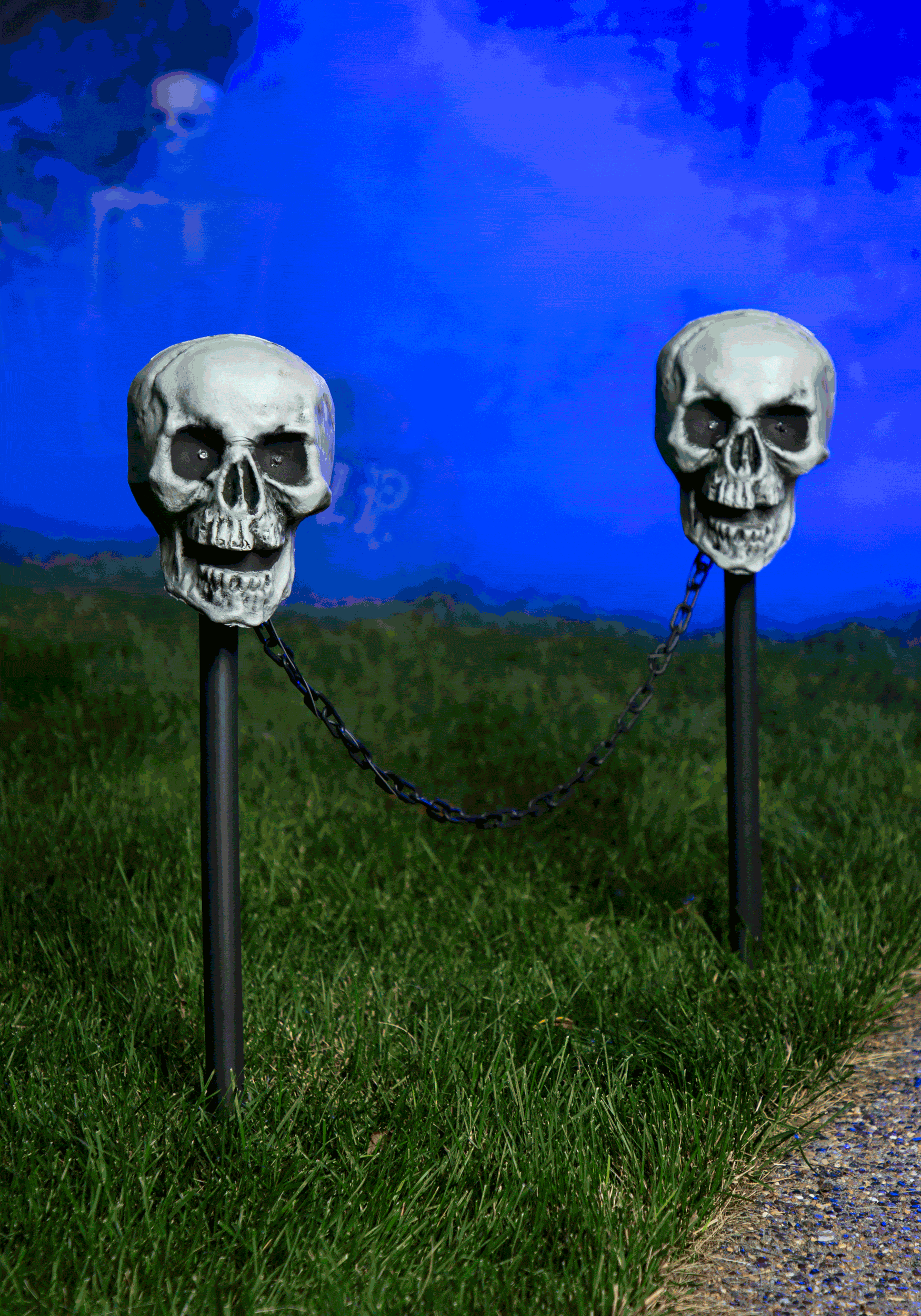 https://images.halloweencostumes.com/products/74384/1-1/skull-pathway-lights-4-piece-1.gif
