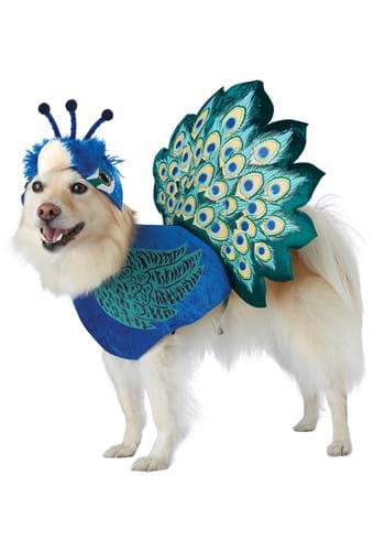 Pretty as a Peacock Pet Costume for Cats