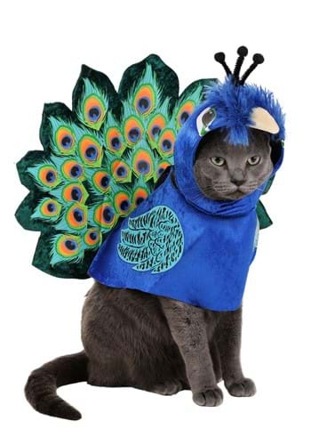 Pretty as a Peacock Pet Costume | Dog Costumes