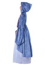 Adult Premium Fairy Godmother Costume Alt 4