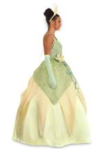 Adult Deluxe Tiana Costume Alt 12