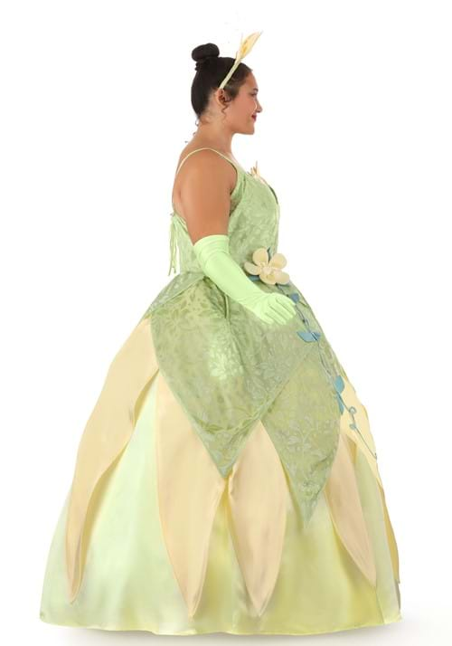 Women's Plus Size Deluxe Disney Princess and the Frog Tiana Costume