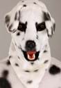 Adult Dalmatian Suit With Mouth Mover Mask Alt 4