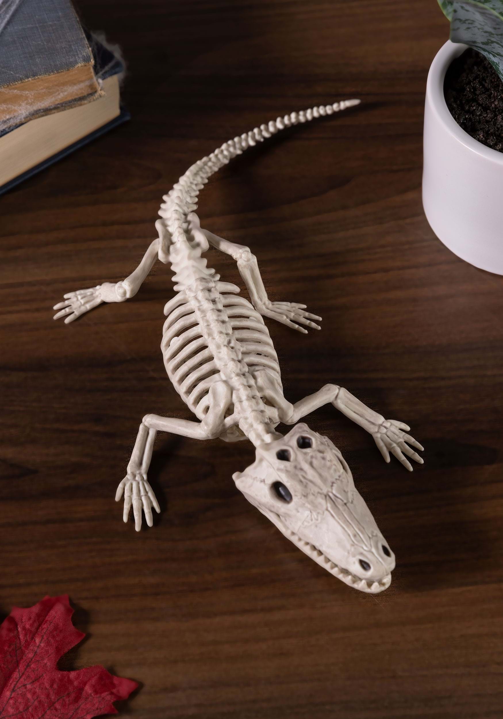 Alligator Skeleton Model Nude Massage Filme