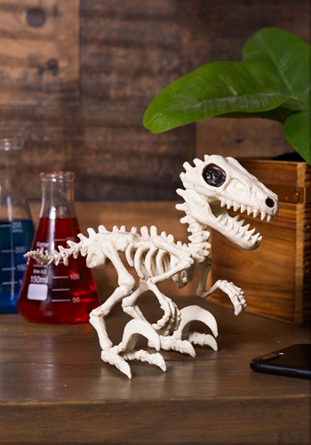 5.5-Inch Raptor Crazy Bonez Halloween Prop | Animal Skeletons