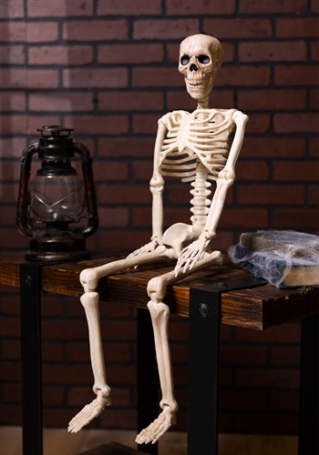 36-Inch Posable Skeleton